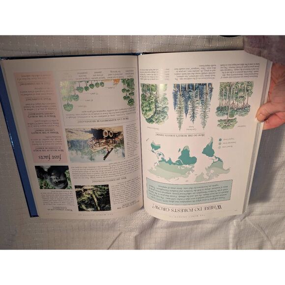 1001 questions and answers beautifully. Illustrated book - Picture 5 of 7